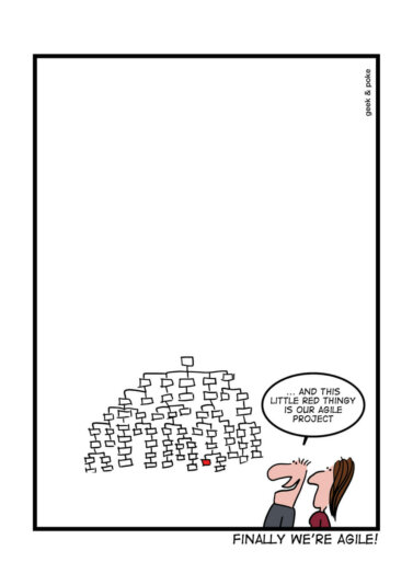 Finally We are Agile